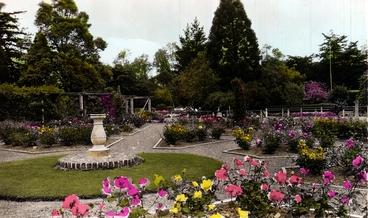 Image: Rose garden, Masterton Park