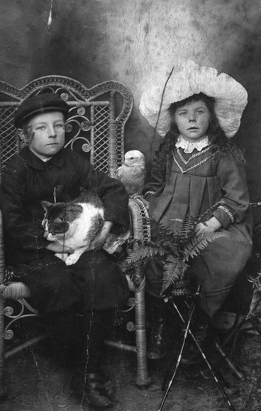 Image: Thomas Udy Wellington's children