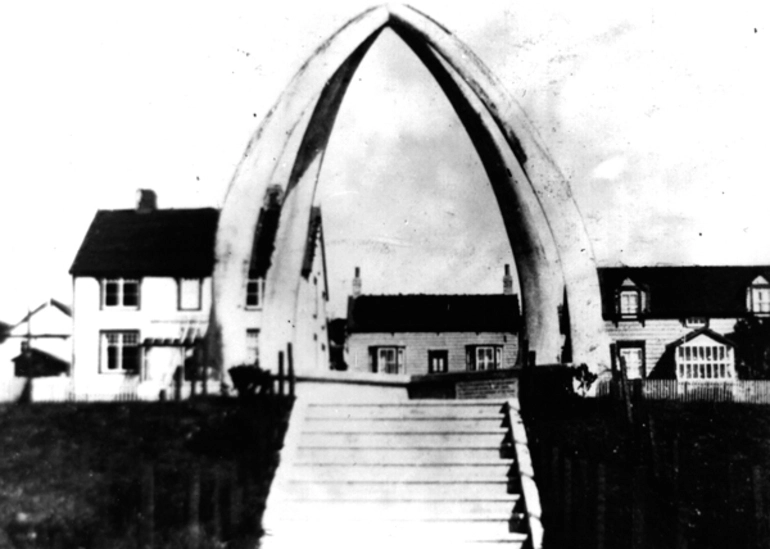 Image: Whalebone arch, Stanley, Falkland Islands : digital photograph