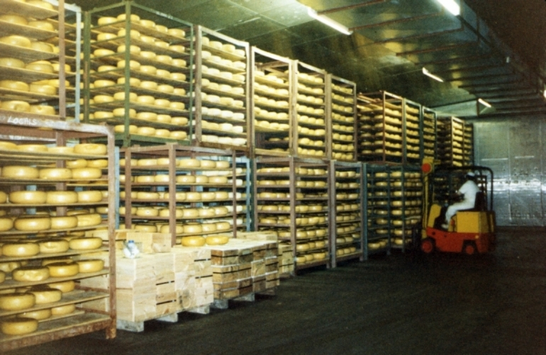 Image: Forklift moving gouda cheese at Greytown Co-operative Dairy Company factory