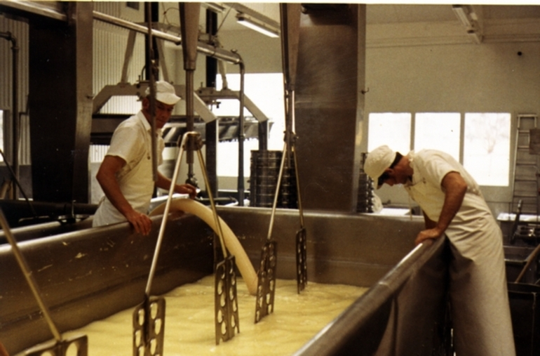 Image: Making cheese at Greytown