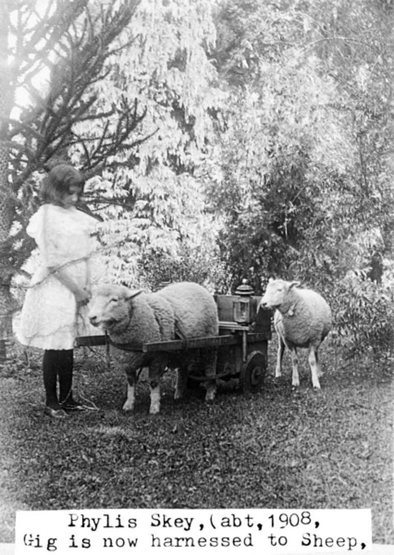 Image: Phylis Skey with lambs