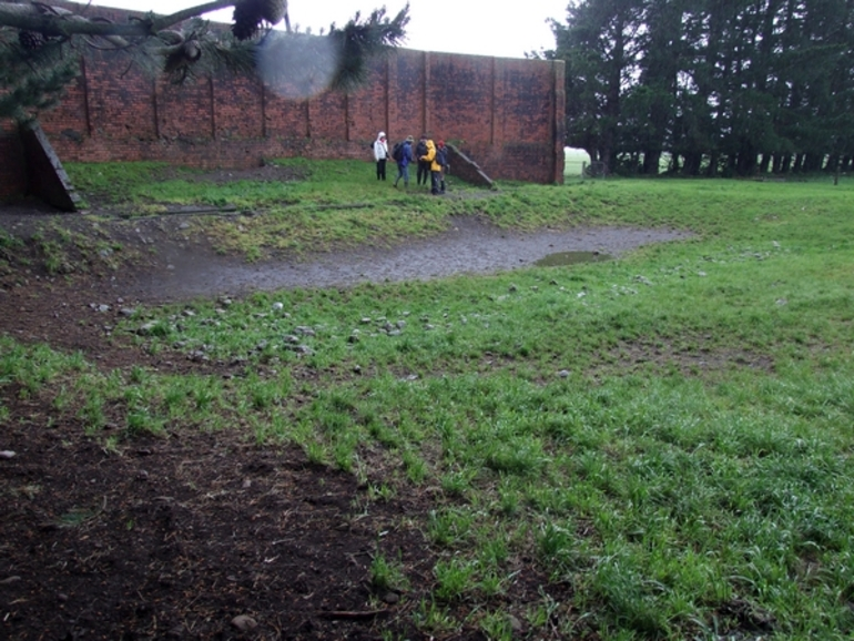 Image: Brick wall, Featherston Military Camp : digital image