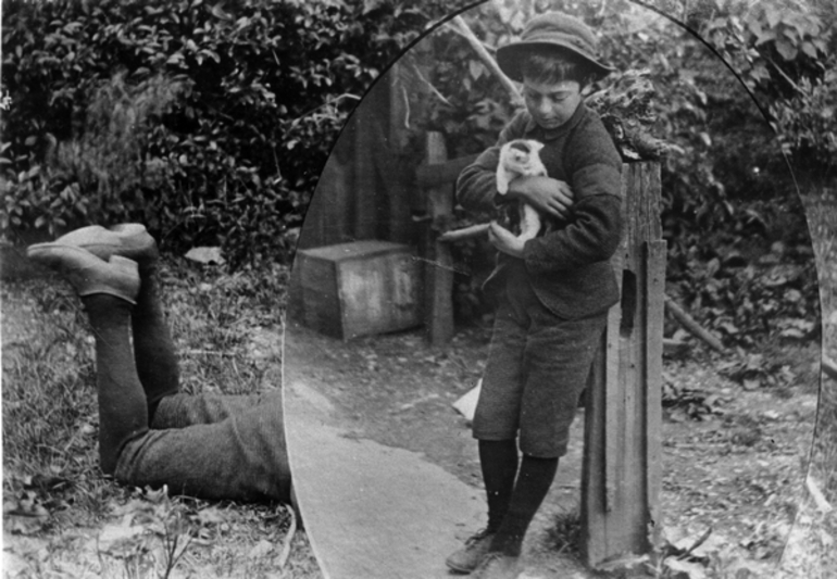 Image: A boy holding a kitten