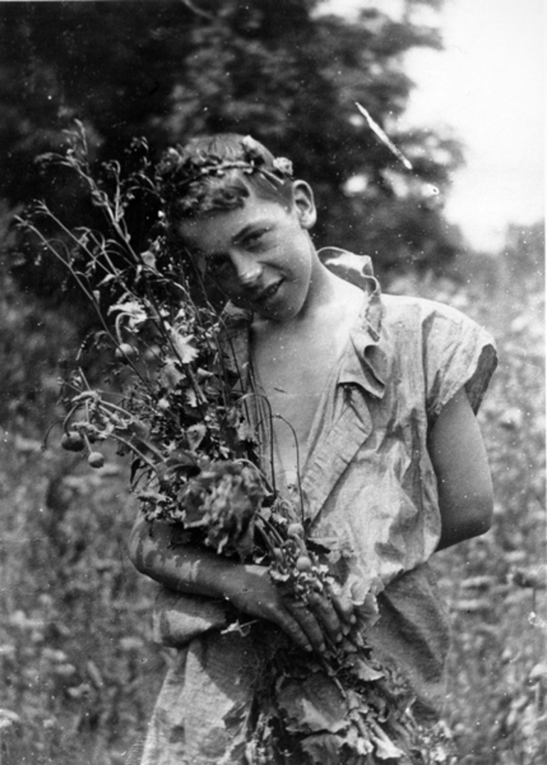 Image: A boy standing in a field of poppies