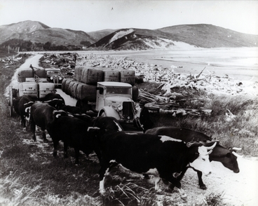 Image: Wool bales transported near Akitio : Photograph