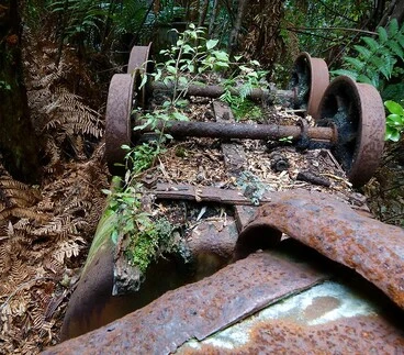 Abandoned Coal Wagons, Rewanui, West Coast Image: Abandoned Coal Wagons, Rewanui, West Coast
