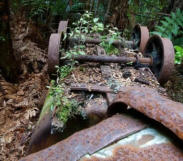 Image: Abandoned Coal Wagons, Rewanui, West Coast