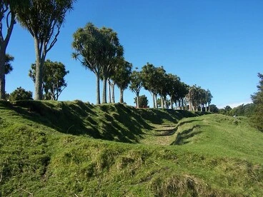 WST 388 Image: WST 388