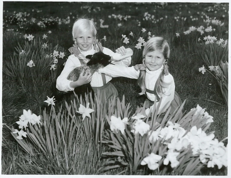 Image: Lambs and girls