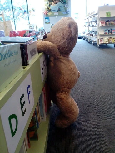 Image: Teddy wants a book