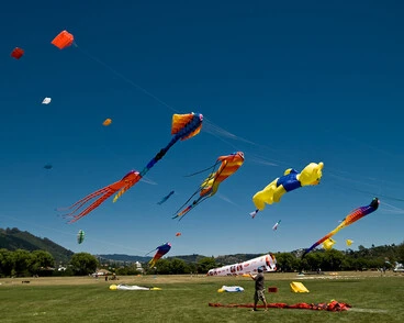 Image: Nelson Kite Festival 2008