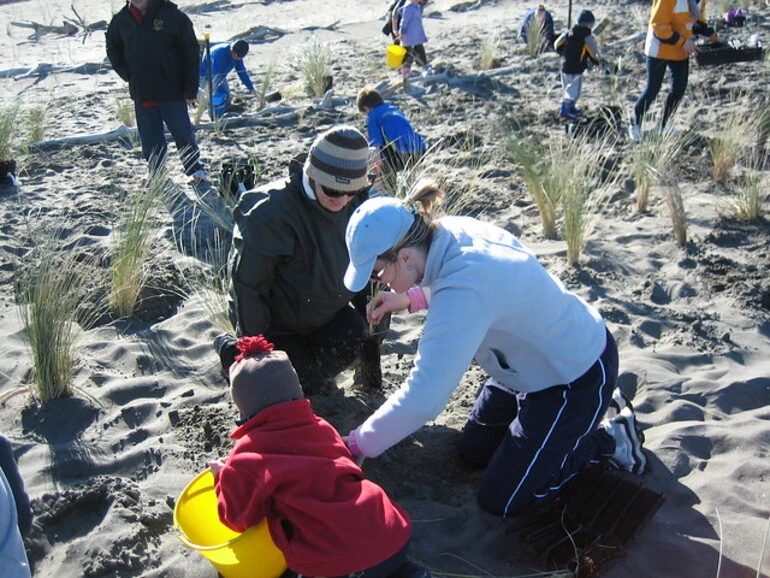 Image: Team effort at mass planting day