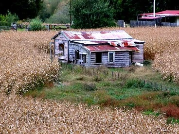 Image: Old house, Nth Taumaranui, Waikato, New Zealand