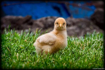 Attitude... Image: Attitude...