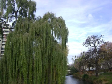 View from Victoria Square Image: View from Victoria Square