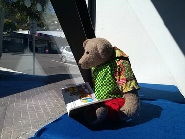 Image: Teddy reads a story in the sun, Lyttelton Library
