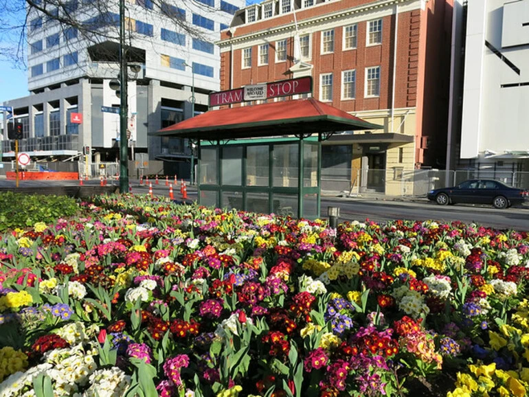 Image: Victoria Square and Armagh Street