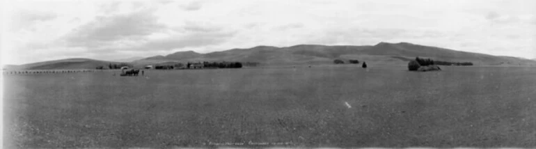 Image: Bexhill Pastures, Culverden, 1925