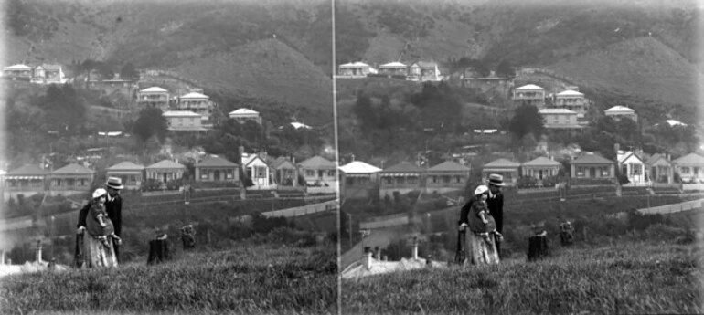 Image: A stereoscopic view of Patanga Crescent, Thorndon, from the Wellington Botanic Gardens, between 1902-1922