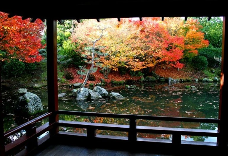 Image: Autumn in the Japanese Garden