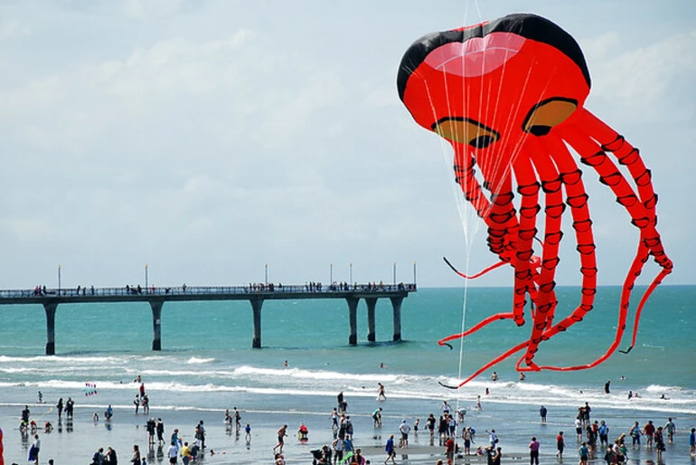 Image: Tip Top Kite Day