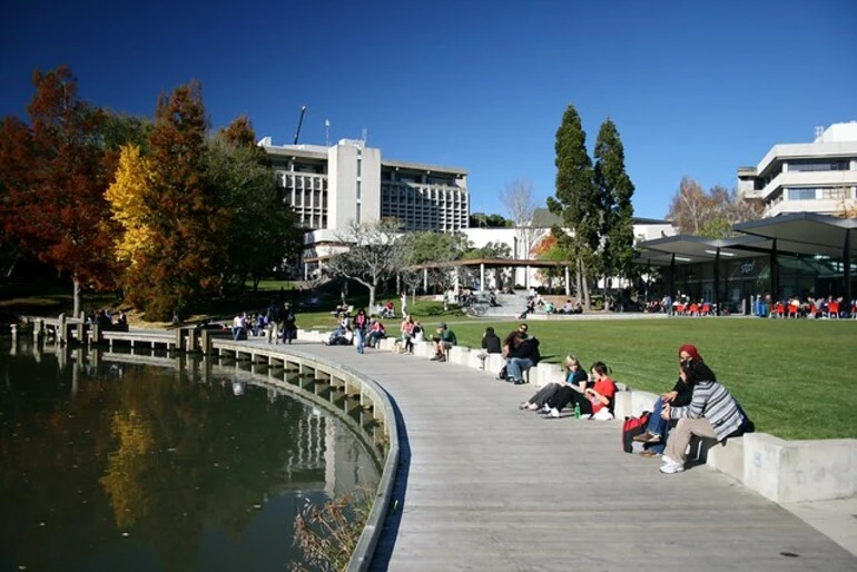 Image: Looking towards the University Library