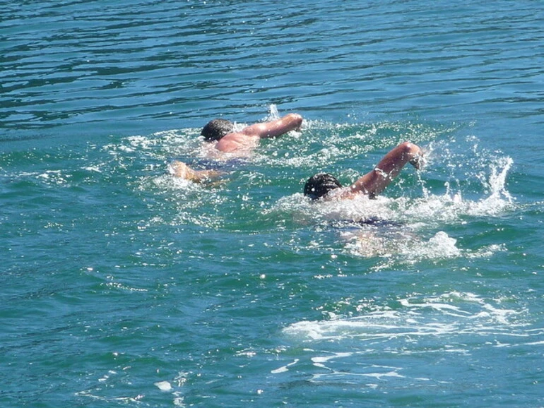 Image: Harbour Swimmers