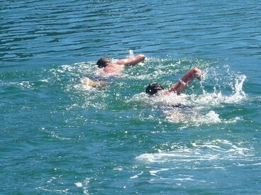 Image: Harbour Swimmers