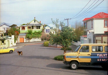 Image: berhampore, wellington, nz 1992