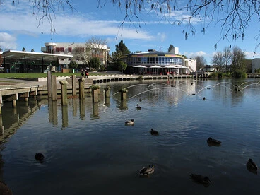 Image: Waikato University Campus, Hamilton, NZ