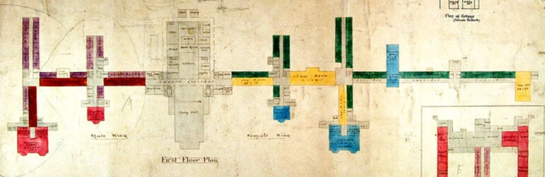 Image: Seacliff Lunatic Asylum - Picture of Floor Plans: First Floor