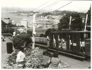 Visitors to Wellington ride on the cable car and enjoy the view from Lookout Point Image: Visitors to Wellington ride on the cable car and enjoy the view from Lookout Point