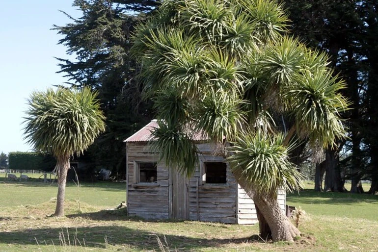 Image: Old house, Makarewa, Southland, New Zealand