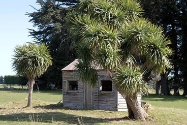 Image: Old house, Makarewa, Southland, New Zealand