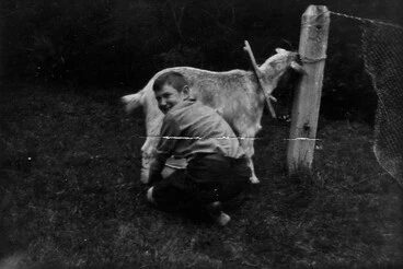 Image: Nelson Milking the Goat