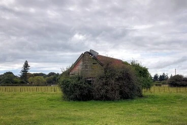 Old house, Manakau, Manawatu, New Zealand Image: Old house, Manakau, Manawatu, New Zealand