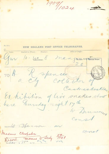 Image: Telegram to Auckland Customs regarding Snake Charmer Cleopatra (1909)