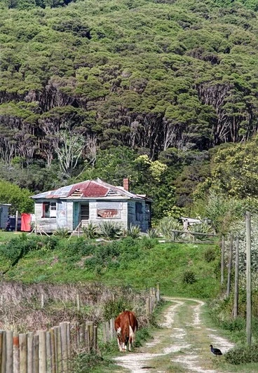 Image: Old house, Manaia, Coromandel, New Zealand