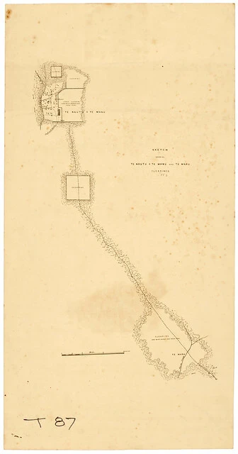 Image: Battle of Te Ngutu o te Manu, 1868