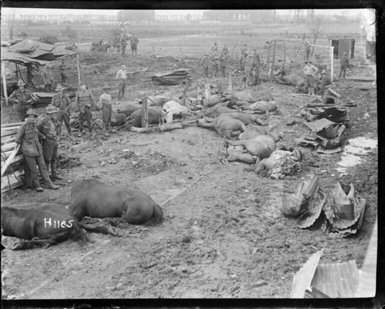 Image: Horses killed in a German bombing raid