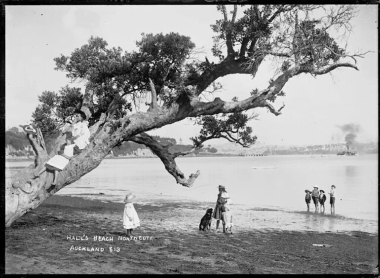 Image: Children playing on tree at Hall's Beach, Northcote, Auckland