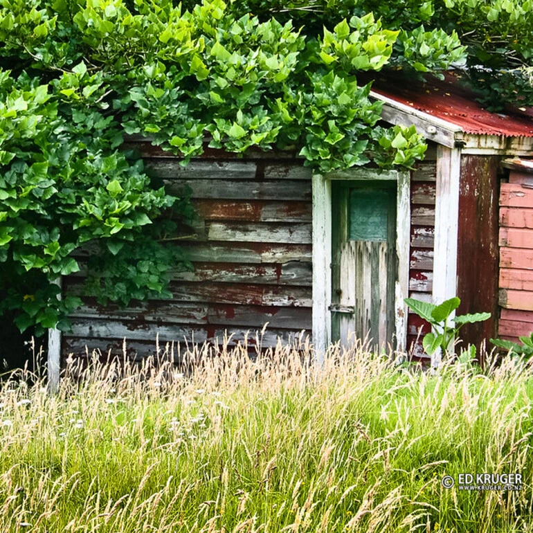 Image: Abandoned House