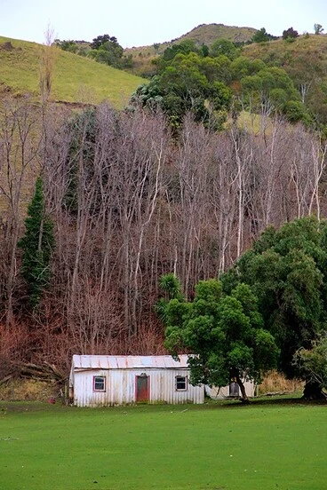 Image: Old house, Parikawa, North Canterbury, New Zealand
