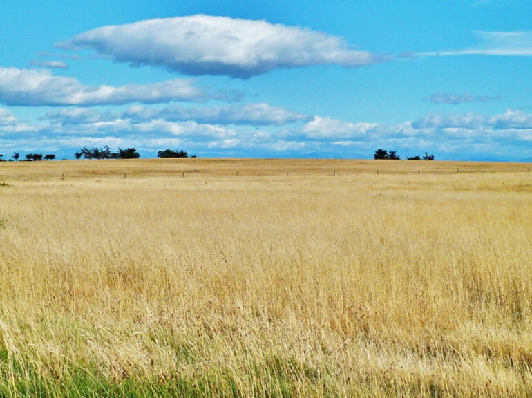 Image: Christchurch Summer Skies