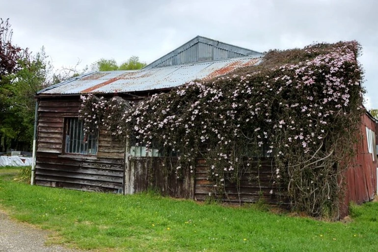 Image: Old building, Cust, Canterbury, New Zealand