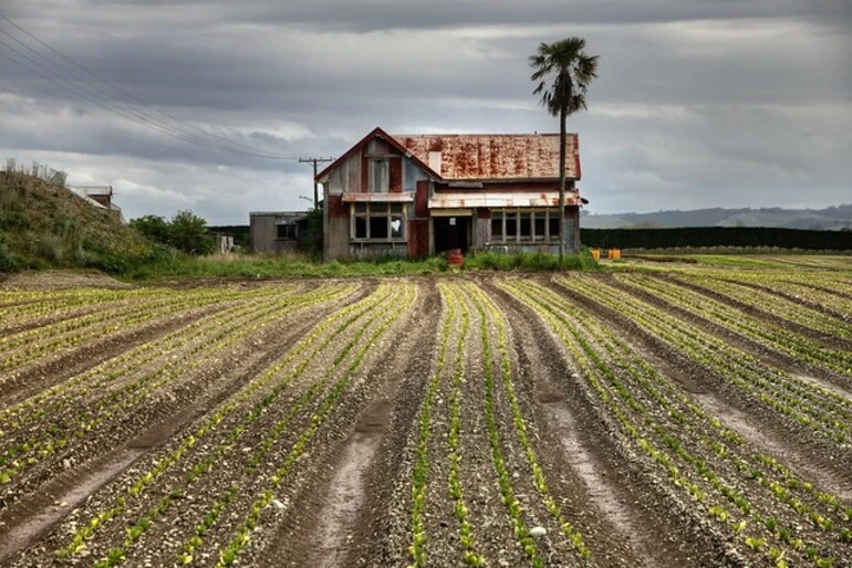 Image: Old house, SH60 (Appleby Highway), Richmond, Nelson, New Zealand