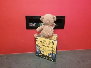 Image: Brownie at the returns slot, Teddy bear sleepover