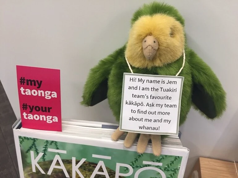 Image: Jem the Tuakiri team adopted Kākāpō