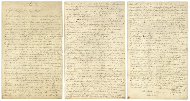 Image: Petition from the Working Men of Nelson